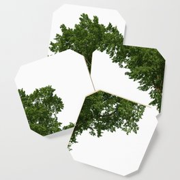 Green Tree Drawing Picture Coaster