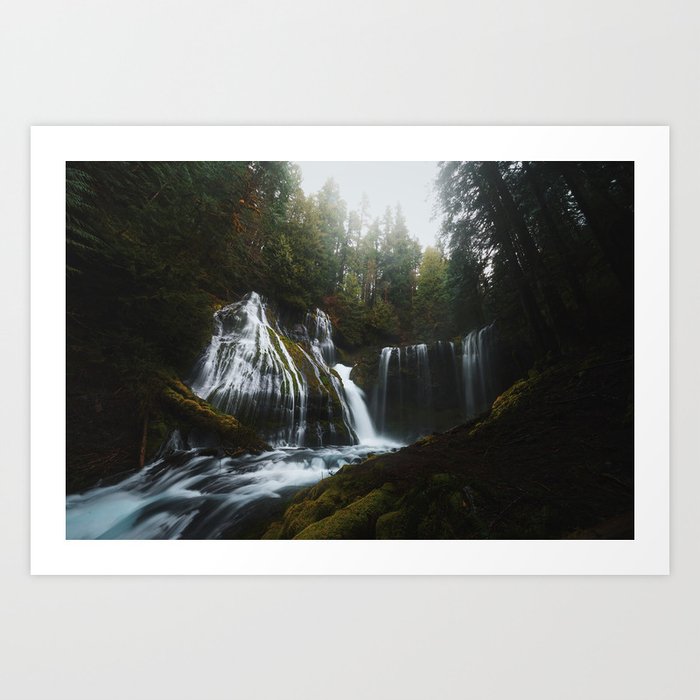 Forest Oasis Art Print