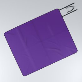 color rebecca purple Picnic Blanket