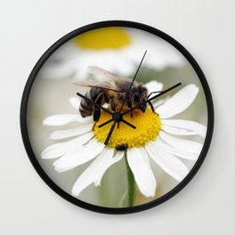 Biene auf der Kamille Wiese Wall Clock