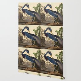 John James Audubon - Louisiana Heron Wallpaper | Beauty, Color, Sun, Joy, Exotic, Beautiful, Wing, Animal, Painting, Wildlife 