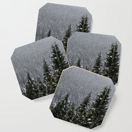 Pine Trees | Mountains | Alberta | Canada | Landscape Coaster