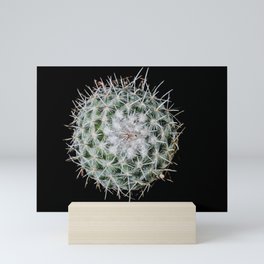 Cactus #5 Mini Art Print