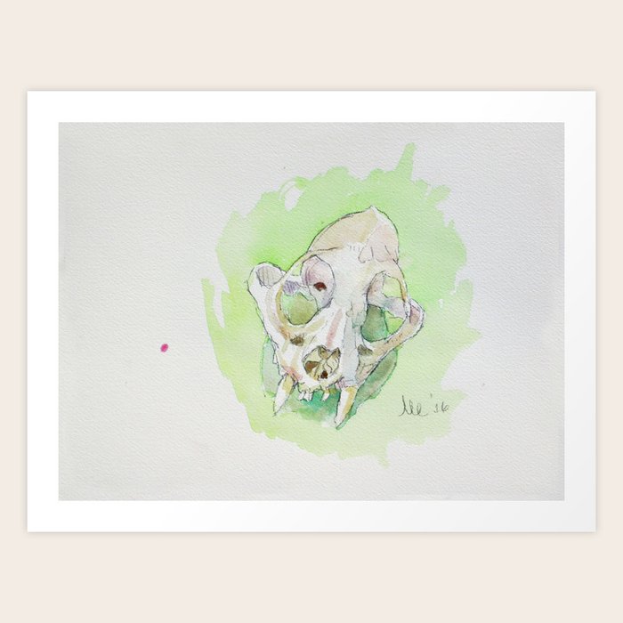 Caracal Skull Art Print by Marc Clamage Fine Art | Society6