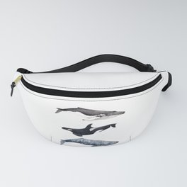 Orca, humpback and grey whales Fanny Pack
