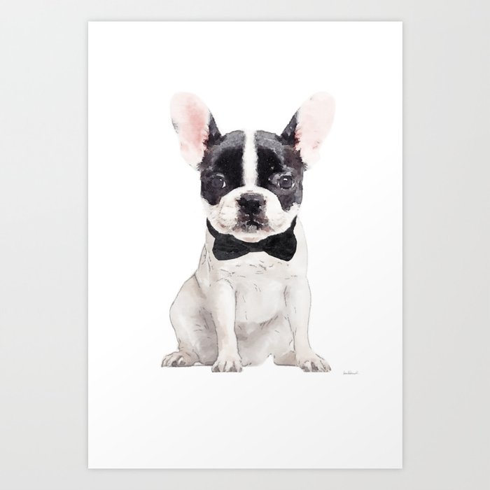 Wallpaper Black And White French Bulldog Bow Tie Frenchie Puppy Art Free HD