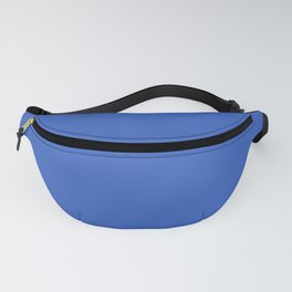 Palace Blue - Spring 2018 London Fashion Trends Fanny Pack