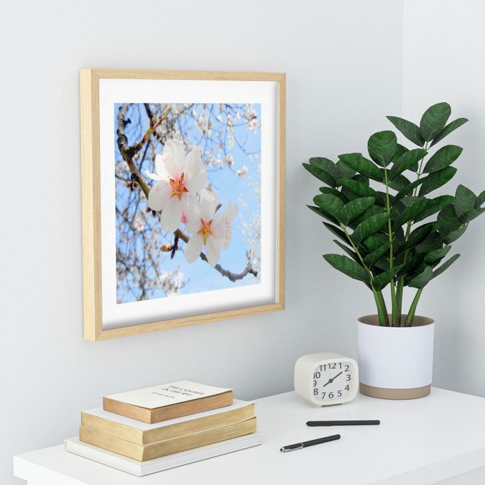Recessed Framed Print Plum tree blossoms by ARTbyJWP | Society6