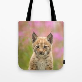 Falk - the lynx kitten Tote Bag