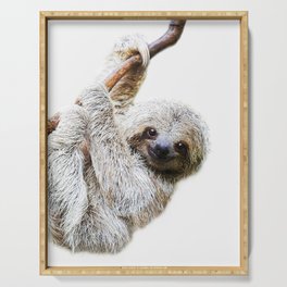 Sloth Serving Tray