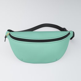 Lucite Green Fanny Pack