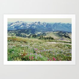 Wildflower Meadow Kunstdrucke | Meadow, Adventure, Washington, Wildflowers, Mountain, Hike, Mountrainier, Landscape, Curated, Mountains 