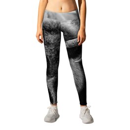 Black and White Buffalo Twisted Horns Yellowstone National Park Fun Silly Humor Wild Animals Dark Leggings | Girls Guys Apartment, Natural Earth Tones, Wildlife Bison Artsy, Animal Creatures, Cool Nature Pictures, Modern Vintage Style, Farm House Aesthetic, Colorful Room Decor, Big Graphic Designs, Rustic And Farmhouse 