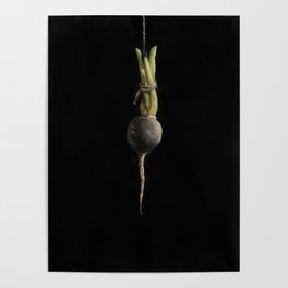 Vegetable Vanitas: The Beet Painting by Brooke Figer Poster