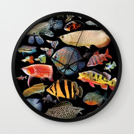 Freshwater tropical fish Wall Clock | Tropicalfish, Tetra, Gar, Betta, Oscar, Discusfish, Fish, Garpike, Cichlid, Photo 