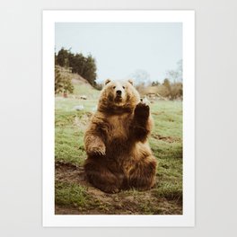 Hi Bear Kunstdrucke | Animal, Nature, Photo 