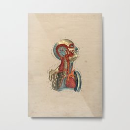 Human Heart Artery Anatomy 1841 Print Metal Print | Vintage 