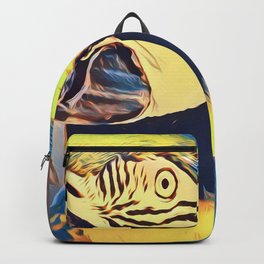 Blue and gold macaw staring. Backpack | Conure, Digital Manipulation, Photo, Bluemacaw, Goldmacaw, Enchanted, Color, Petbird, Digital, Tropicalbird 
