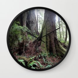 Giant Redwoods Rainforest 04 Wall Clock | Digital, Nature, Redwoods, Scenery, Trees, Photo, Places, Photograph, Forest, Jedediahsmithstatepark 
