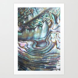 Abalone Art Prints For Any Decor Style Society6