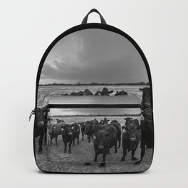 Hanging Out - Black and White Photo of Cows in Kansas Backpack | Blackangus, Kansas, Ranch, Stormy, Farm, Storm, Animal, Prairie, Farming, Livestock 