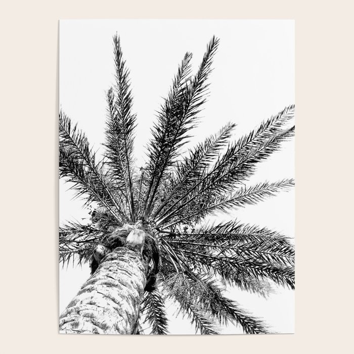 Black and White // Palm Tree Art Print Poster by desertxpalm Society6