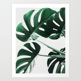Monstera Art Prints For Any Decor Style Society6