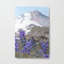Mighty Metal Print | Photo, Alpine, Wildflowers, Flower, Flowers, Spring, Lupin, Mountain, Summer, 60Mm 