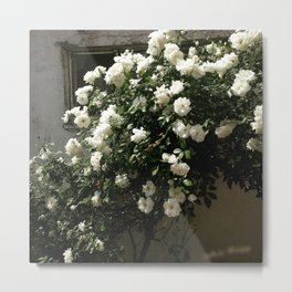 #147Photo #161 #Beauty is mostly #hidden #Learn to #seek it out Metal Print | Southafrica, Instagram, Digital, Iphone, Beauty, White, Flowers, Color, Photo 