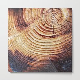 Detail on the pile of firewood Metal Print | Timber, Organic, Plants, Cozy, Adventrue, Tree, Environment, Outside, Crosssection, Minimal 