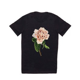 Pink Cappuccino Rose Watercolor Painting T Shirt | Roses, Detailed, Botanicals, Painting, Botany, Watercolor, Flowers, Bloom, Curated, Beautiful 