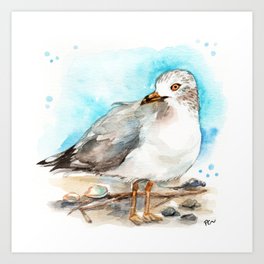 Seagull Study 2 Art Print