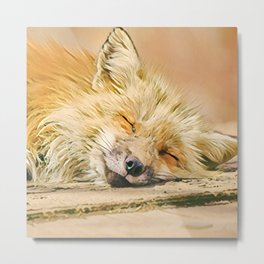 Adorable Sleeping fox Metal Print | Woodlands, Redfox, Color, Peaceful, Forest, Adorablefox, Colorful, Animallover, Forestanimals, Sleepingfox 