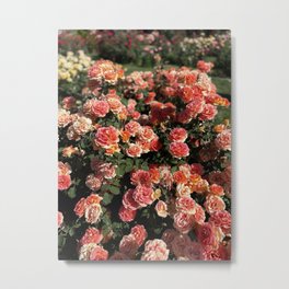 Peach Blooms Metal Print | Feminine, Delicate, Flowers, Whimsical, Whismy, Bloom, Botanical, Garden, Flower, Highcontrast 