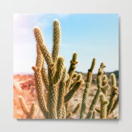 Desert Cactus Metal Print | Filmpicture, Color, Cacti, Cactus, Grain, Photo, Desert, Film, Photograph 