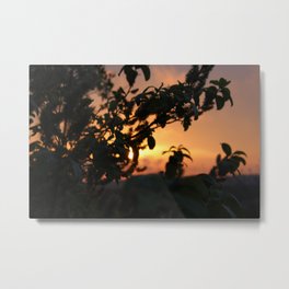 Sunrise Foliage 3 Metal Print | Double Exposure, Color, Photo, Vintage, Long Exposure, Sunset, Digital Manipulation, Sunrise, Black And White, Hi Speed 