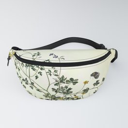 The cultivation of wild Fanny Pack