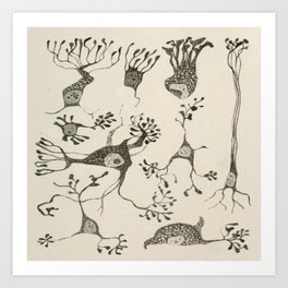 Neuron Art Prints For Any Decor Style Society6