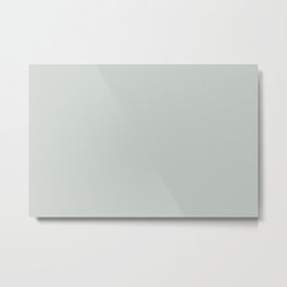 Soft Green-Gray Solid Color Pairs Benjamin Moore 2022 Popular Hue Quiet Moments 1563 Metal Print | Colours, Pale, Green, Earthy, Grey Green, Earth Tone, Solid, Green Grey, Gray Green, Pastel 