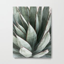 Cactus Leaves // Green Southwest Home Decor Vibes Desert Hombre Plant Photograph Metal Print | Rays In California, Trippy Of Bohemian, The Modern Vintage, Photo, Photo Picture Farm, Joshuatree Cowboy, Country Outfitters, Palm Succulent Decor, Botanical Wilderness, Desert Cactus Sky 