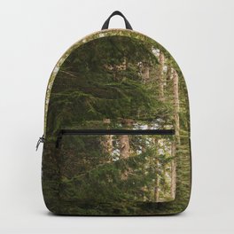 Redwood Forest Black Bear Adventure - National Parks Nature Photography Backpack | Digital, Wanderlust, Watercolor, Nature, Woods, Pattern, Redwood, National, Illustration, Park 