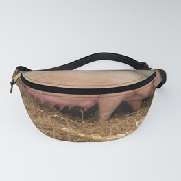 Edith the British Lop  Fanny Pack