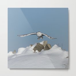 Over the hills Metal Print | Owl, Beautiful, Eyes, Bird, Rocks, Owls, Heatherking, Feathers, Snow, Nature 