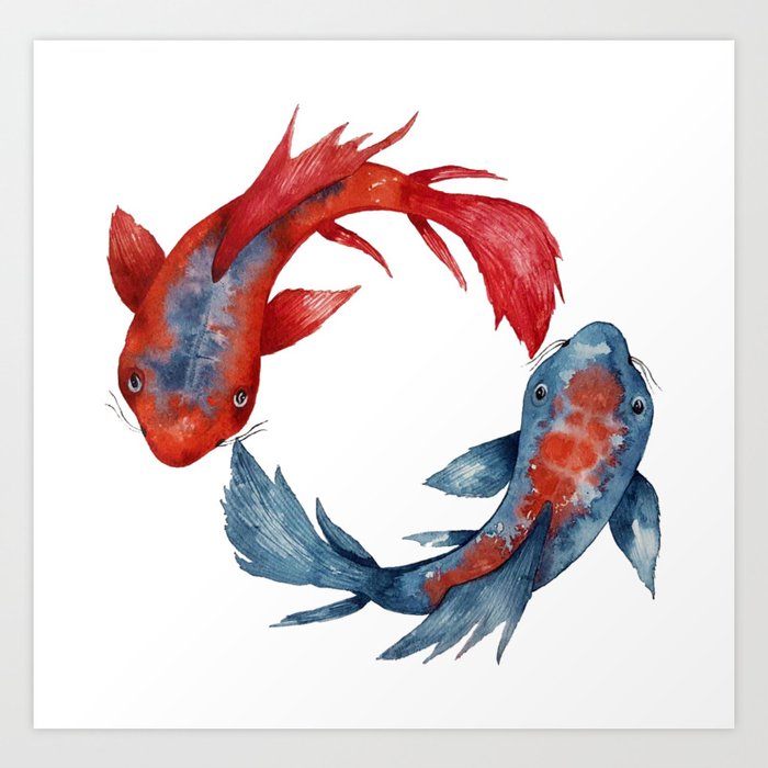 Yin Yang Koi Fish Art Print By Zuskaart Society6