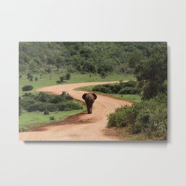 Addo Metal Print | Addo, Soil, Amazing, Photo, Awe, Wildlife, Elephantalone, Nationalpark, Curated, Color 