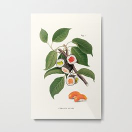 Sushi Plant Metal Print | Popart, Asian, Green, Plats, Contemporaryart, Vintage, Humour, Instaart, Sushi, Mixedmedia 