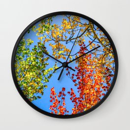 Aspen Color Candy // Green Yellow Red and Orange Fall Leaf Colors Wall Clock | Camping Travel Sky, The Photos Pictures, Painting, Wilderness Adventure, Abstract Color Photo, Leaves Leaf Aspen, Woods Photography, Q0 Autumn Rustic, Nature Park Decor, Vibe Vibes Happy 