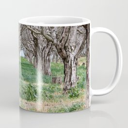 Nature - Crow's Landing Trees 2 Coffee Mug | Nature, Digital, Trees, California, Color, Photo 