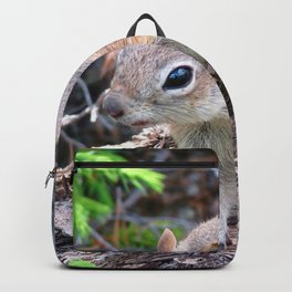 Watercolor Golden-Mantled Ground Squirrel 09, Dunraven Trail, Colorado, Too Close? Backpack | Digital, Gray, Carlsonimagery, Painting, Colorado, Watercolor, Forest, Mammal, Squirrel, Cute 