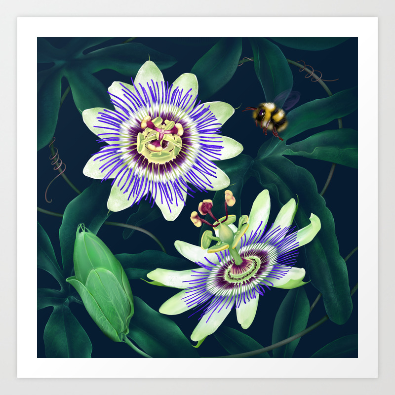 Get Wallpaper Passion Flower Vine Art Print By Donnabrowning Society6 For Free